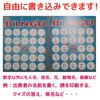 Plain Writable Bingo Cards Printable! 100 Sheets Nationwide