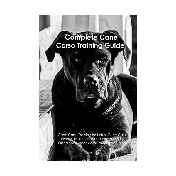 The Cane Corso Training Guide