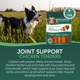 Healthfuls Chicken Tenders Dog Treats with Glucosamine & Chondroitin, 11oz