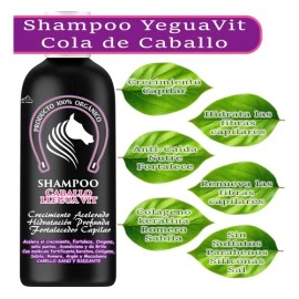 Shampoo Cola De Caballo Y Keratina Crecimiento Capilar 500ml Envió Gratis