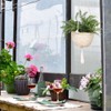 Natural Hanging Seagrass Plant Baskets Dural Layer Flower Planting Basket