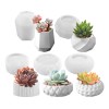 5pz Moldes pequeñas jardineras moldes para maceta plantas color 1