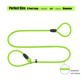 PETESCORT Slip Lead Dog Leash(Pack 2), Heavy Duty 1/2" 3/8" x 6 FT Strong Rope Slip Leash for Large, Medium & Small Dogs No Pulling Pet Training Leash Highly Reflective Threads (3/8in x 6Ft,Green)