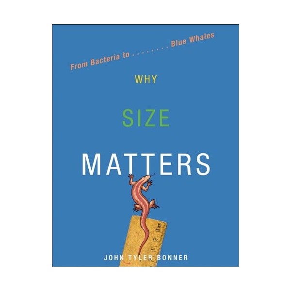 Why Size Matters: From Bacteria to Blue Whales