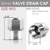 Hexagon Brass Alloy Coated & Polished Silver Chrome Tire Valve
