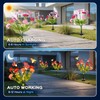 4 Pack Solar Garden Lights Outdoor, 8 Lighting Modes Warm