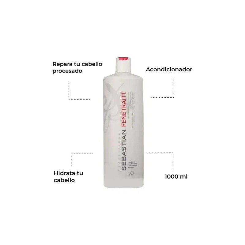 Sebastian Acondicionador Penetraitt Professional 1lt Repara