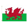 GSYLPFT Wales Flags for Outside 3x5 Welsh Flag Outdoor Vivid