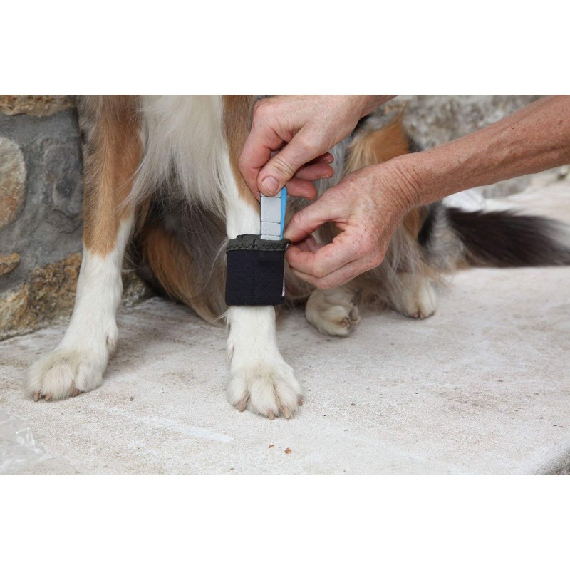 Nature Pet Therapy Cuff/Training Bandage with Weights for Dogs (XL)