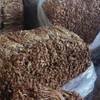 250g/bag Chinese Herbal Agrocybe Cylindracea New Ecology Dried Tea Tree