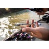 Berkley PowerBait Hollow Belly Fishing Soft Bait , HD Rainbow
