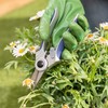 Alfresia Bypass Pruner & Flower Snipper Secateurs Set - Stainless