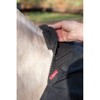 LeMieux Anti Rub Bib in Black with Elastic Belly Straps