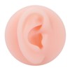 Professional Soft Silicone Ear Model Fake Ear Display Sample Ear