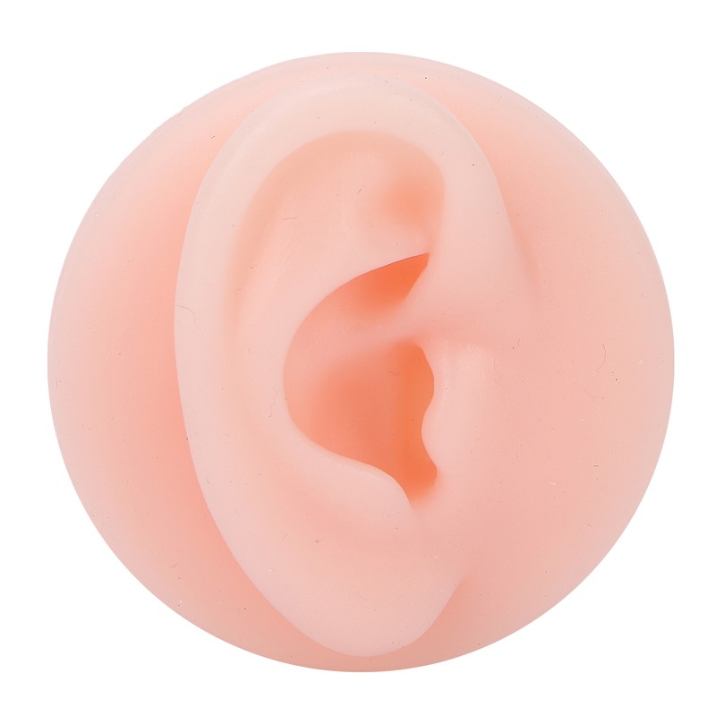 Professional Soft Silicone Ear Model Fake Ear Display Sample Ear