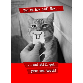 You're How Old? Cat Birthday Card