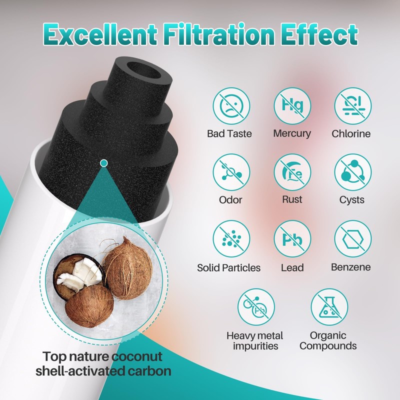 ICEPURE PLUS RWF5200B NSF/ANSI 53 Certified Refrigerator Water Filter Replacement