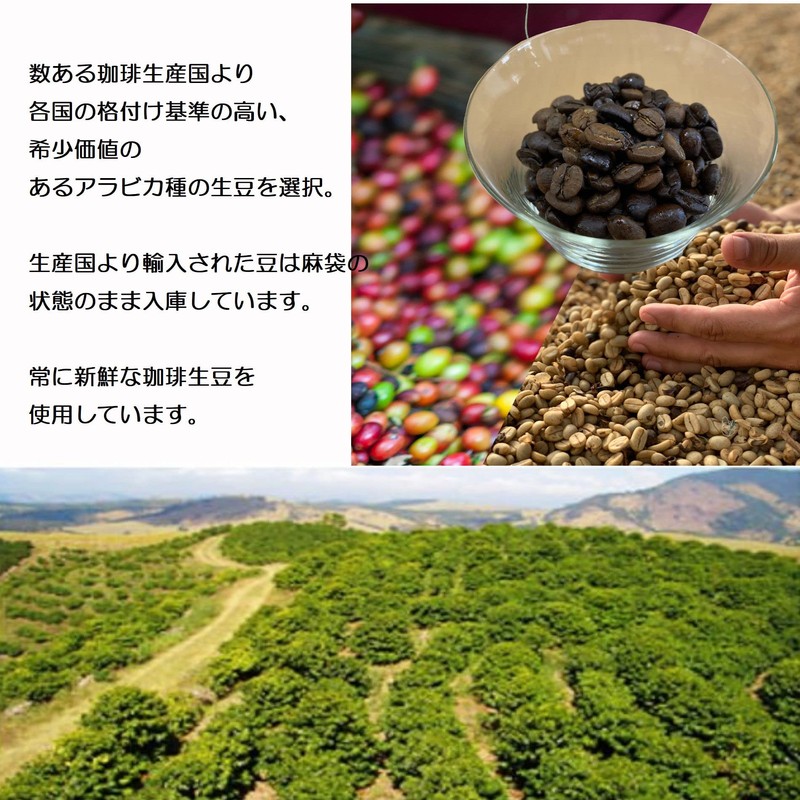 Hakata Coffee Drip Bag Souvenir Gift Present Office Creative Coffee