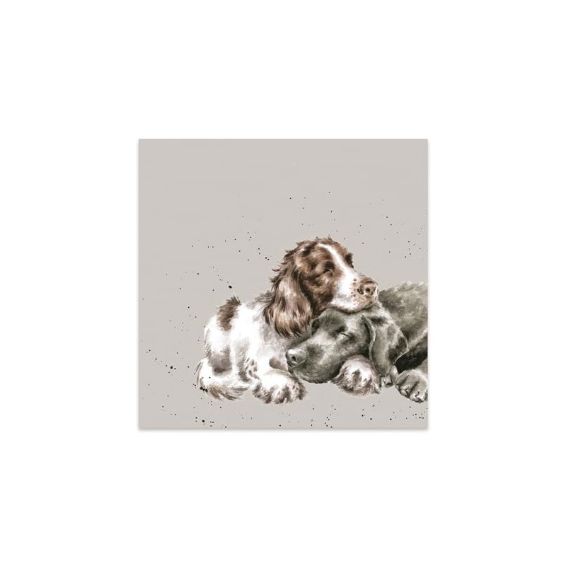 Wrendale Designs by Hannah Dale Growing Old Together' Spaniel and
