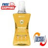 Method Liquid Laundry Detergent, Ginger Mango, 66 Loads Per Bottle,53.5