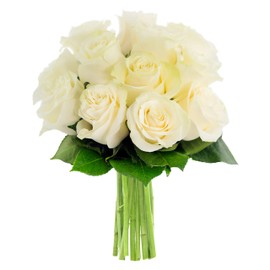 KaBloom PRIME NEXT DAY DELIVERY - Bouquet of 12 Fresh White Roses Fresh.Gift for Birthday, Sympathy, Anniversary, Get Well, Thank You, Valentine, Mother’s Day Fresh Flowers