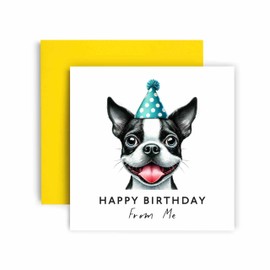 Huxters Birthday Card from the Dog – Boston Terrier - Happy Birthday to Dog Mum and Dog Dad – Birthday Card from the Dog to Friends Family First Birthday (Boston Terrier)