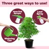 Japanese Maple Fertilizer, Complete Liquid Plant Food for All Japanese