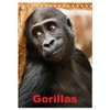 Gorillas (Desk Calendar 2026 DIN A5 High), CALVENDO Monthly Calendar: