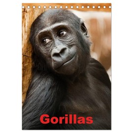 Gorillas (Desk Calendar 2026 DIN A5 High), CALVENDO Monthly Calendar: The Gentle Giants of Africa (CALVENDO Animals)