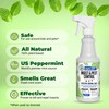 Mighty Mint Peppermint Oil Insect Repellent Spray – Natural Indoor