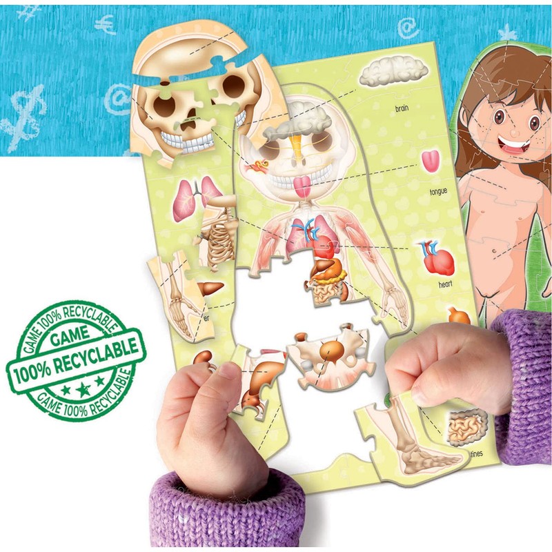 Educa 18842 Learning is Fun, The Human Body, Educational Game