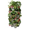 Mr. Stacky 5 Tiered Vertical Gardening Planter, Indoor & Outdoor