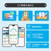 Pocket WiFi Mobile Router, SIM Free, 100 GB, 365 Days,