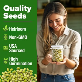 HOME GROWN Mung Beans Seeds Pack (1.5 lbs) – 𝗨𝗦𝗔 Over 15,000 Sprouting Seeds – Grow Fresh Mung Bean Sprouts or Microgreens for Quick, Easy, Nutrient-Packed Food for Your Daily Meals (Vigna Radiata)