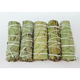 5 Eucalyptus  Sage Smudge Bundle 4"+ House Cleansing Negativity Removal