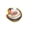 Jet International Gold Plated Agate Slice Coaster Single (1) Piece