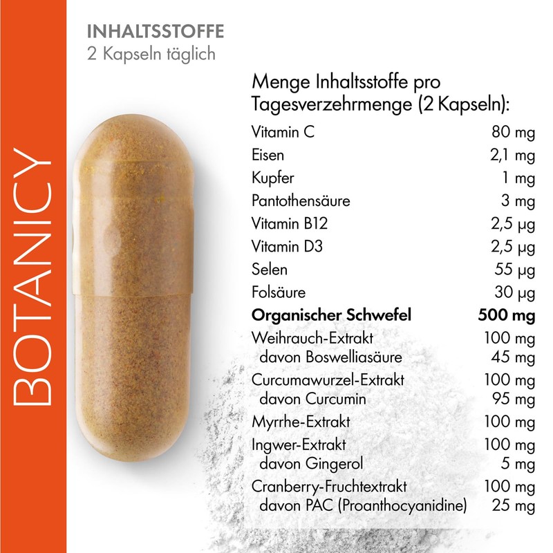 Botanicy BOTANICY Zndex Forte Complex 3er Pack - OptiMSM Hochdosiert,