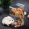 Lucky Interests 2 pcs Hamster Automatic Feeder 300ml, Food Dispenser