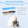 12 Pcs Filtros para Fuentes para Gatos de 74 oz