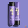 Matrix Pigmented Conditioner for Blonde and Grey Hair, Neutralises Yellow