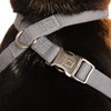 Reddy Grey Reflective Dog Harness, Medium