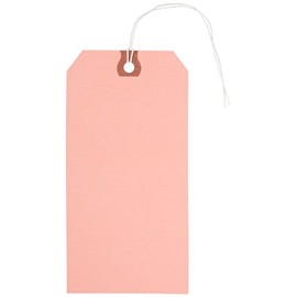 Aviditi G11072J Pre-Strung Shipping Tag, 13 Point Cardstock, 5-3/4" Height x 2-7/8" Width, Pink (Case of 1000)
