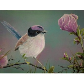 ART.COM Wall Giclee Print Purple Crowned Fairy Wren by Greg Farrugia, 16" x 12"