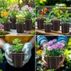 WandaQueen 30 Packs 5 Inch Reinforced Clear Nursery Pots for