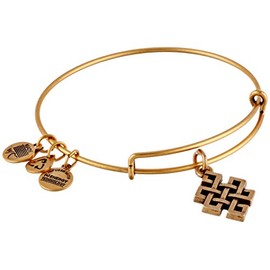 Alex and Ani Endless Knot Bangle Bracelet