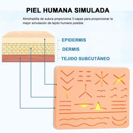 1 Pieza Pad de Sutura, Pad de Sutura Quirurgica Practica. Kit de Sutura para Estudiantes 3 Capas con 31 Heridas, No Incluye Hilo de Sutura Ni Agujas