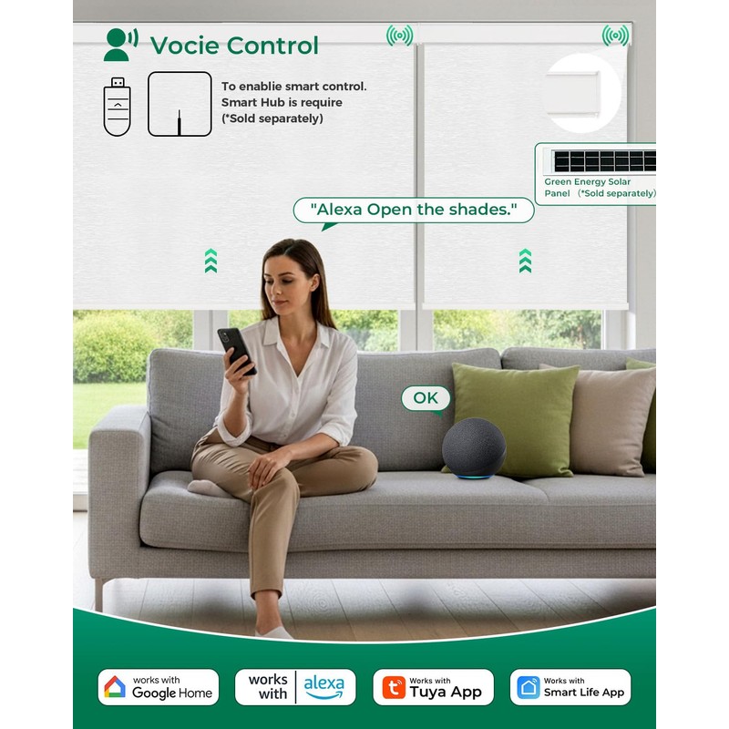 Allesin Motorized Blinds with Remote Smart Blackout Roller Shades |