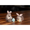 Blue Sky Clayworks Hedgehogs Salt and Pepper Set, 4.63-inch Length,