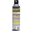Raid Wasp Hornet Killer Spray (14 Ounce (Pack of 10))