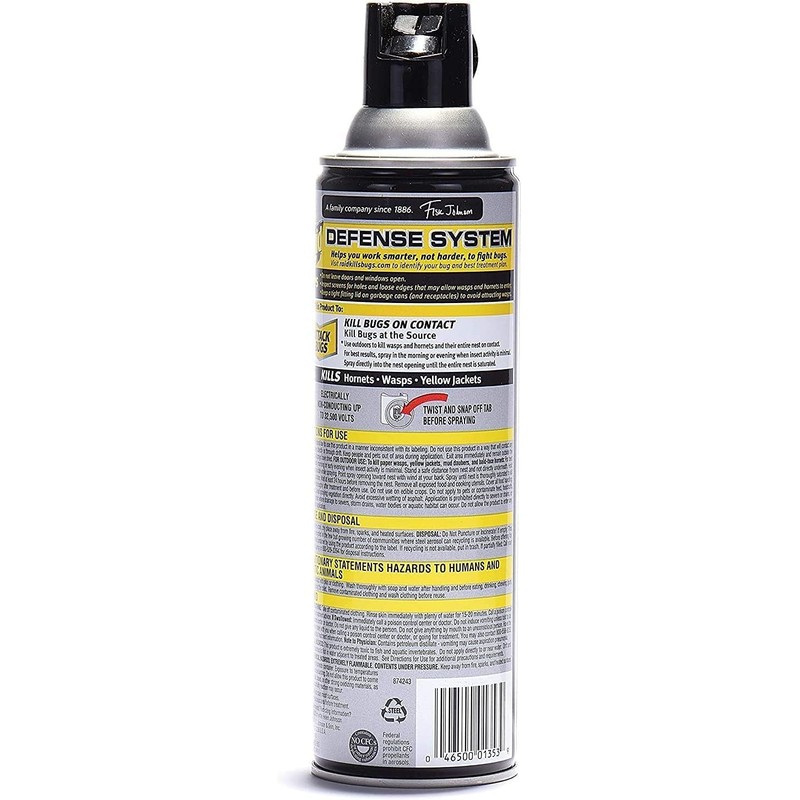 Raid Wasp Hornet Killer Spray (14 Ounce (Pack of 10))